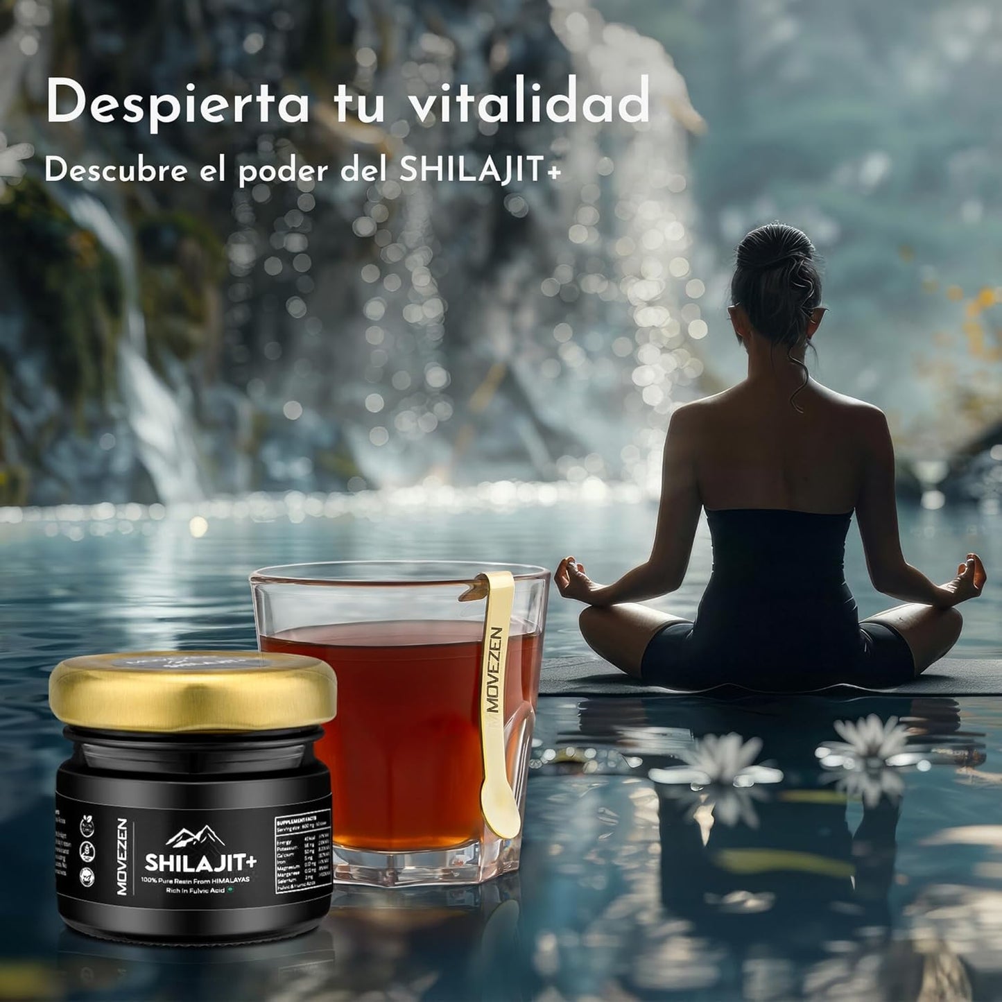 Movezen Shilajit +